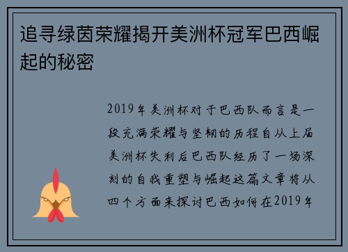 追寻绿茵荣耀揭开美洲杯冠军巴西崛起的秘密