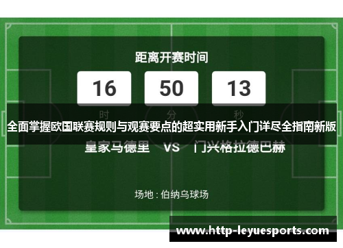 全面掌握欧国联赛规则与观赛要点的超实用新手入门详尽全指南新版 全面掌握欧国联赛规则与观赛要点的超实用新手入门详尽全指南新版